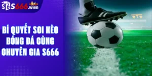 Bí quyết soi kèo bóng đá cùng chuyên gia S666