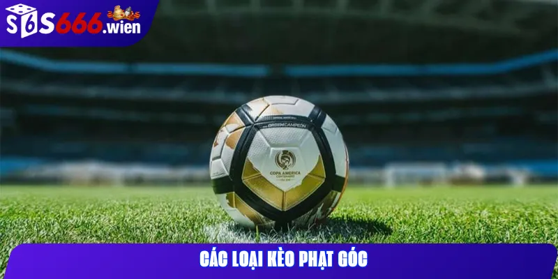 Các Loại Kèo Phạt Góc