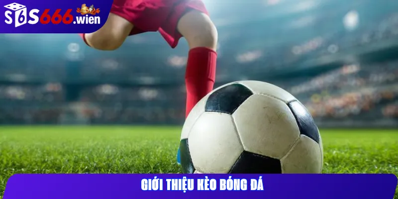 Giới thiệu kèo bóng đá