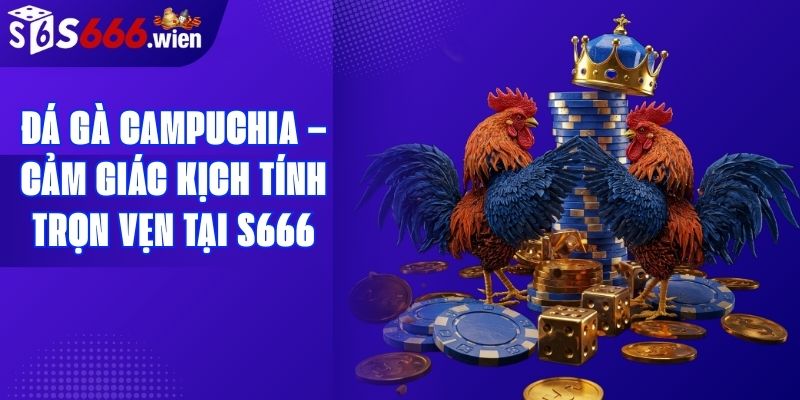Đá Gà Campuchia – Cảm Giác Kịch Tính Trọn Vẹn Tại S666
