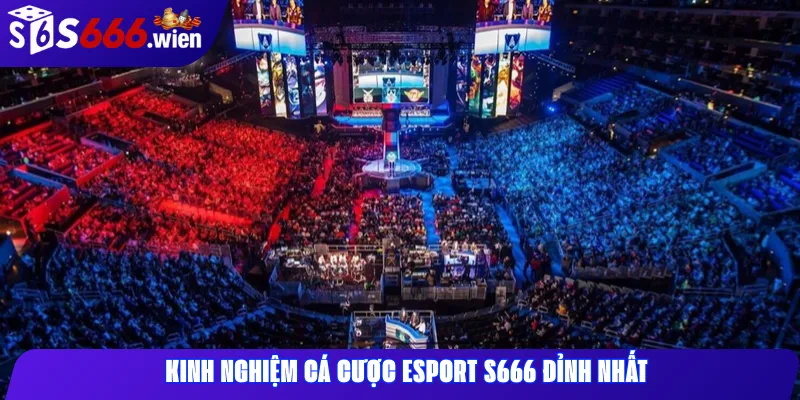 Kinh nghiệm cá cược esport S666 đỉnh nhất