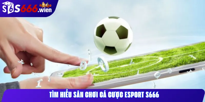 Tìm hiểu sân chơi cá cược esport S666
