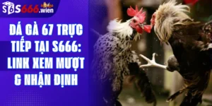 Đá gà 67 trực tiếp tại S666