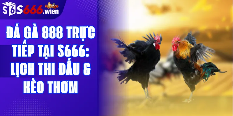 Đá gà 888 trực tiếp tại S666