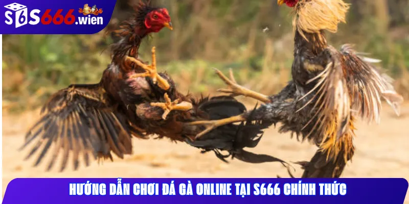 Hướng dẫn chơi đá gà online tại S666 chính thức