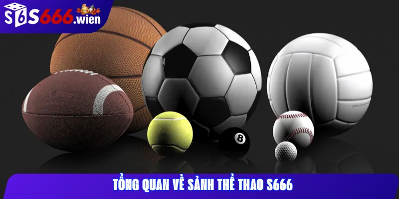 Tổng quan về sảnh thể thao S666