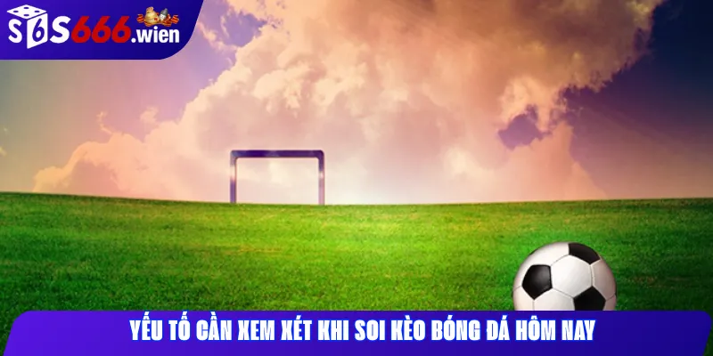 Yếu tố cần xem xét khi soi kèo bóng đá hôm nay