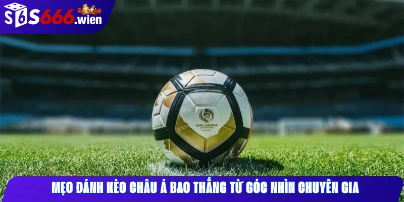 Mẹo đánh Kèo châu Á bao thắng từ góc nhìn chuyên gia